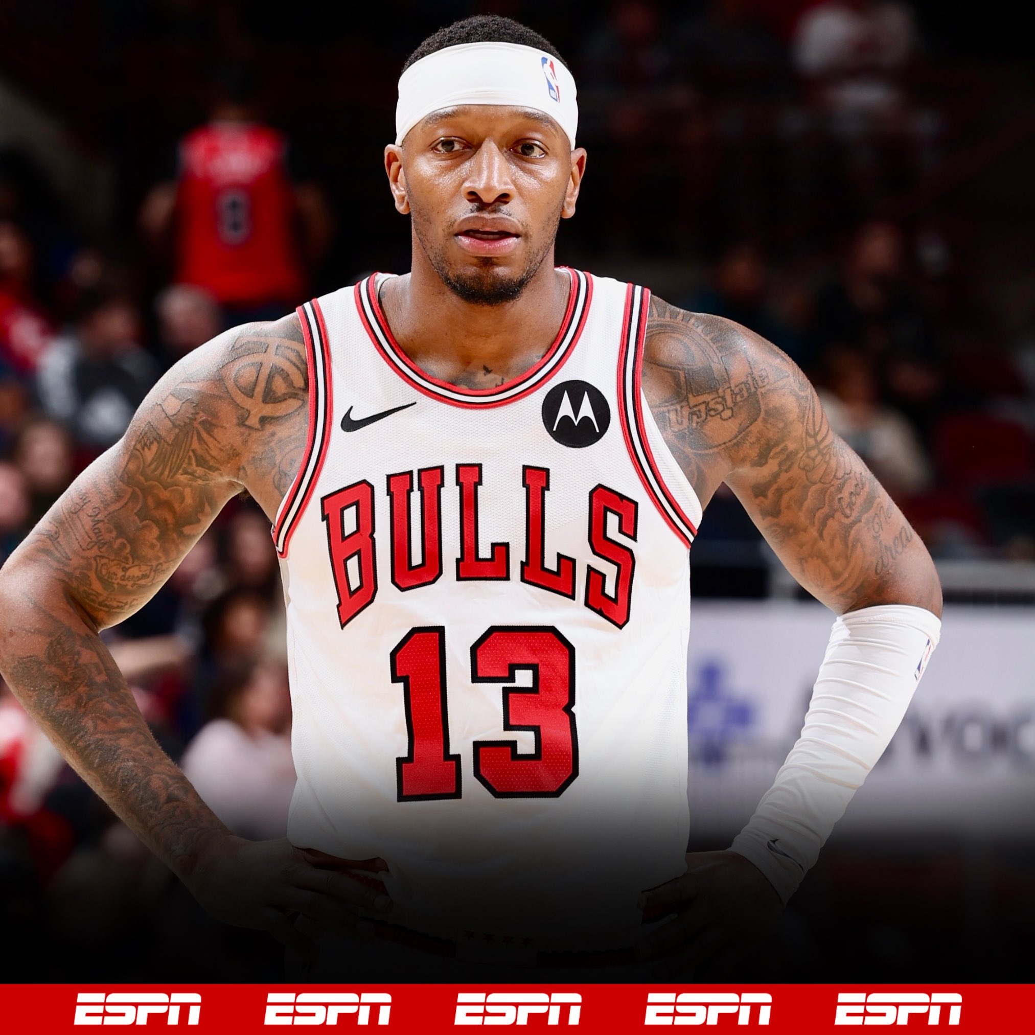 这篇文章的 这篇文章的